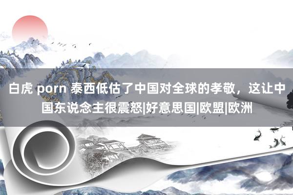 白虎 porn 泰西低估了中国对全球的孝敬，这让中国东说念主很震怒|好意思国|欧盟|欧洲