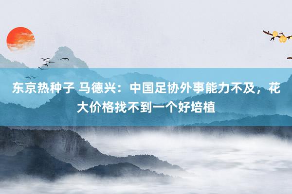 东京热种子 马德兴：中国足协外事能力不及，花大价格找不到一个好培植